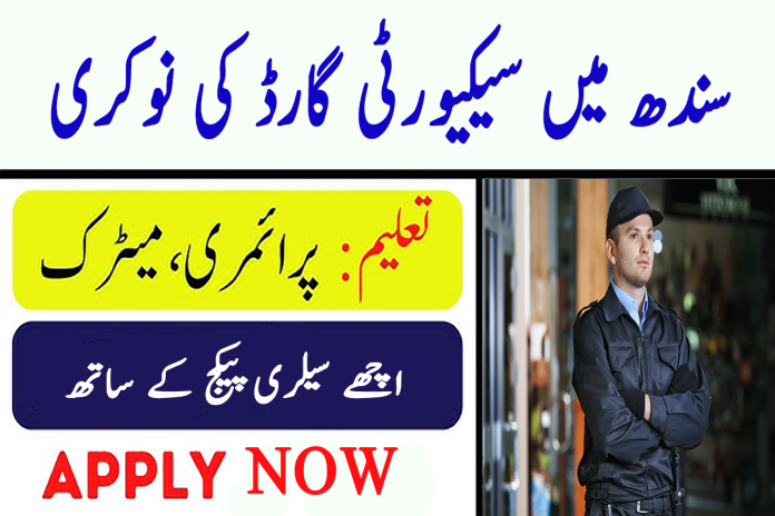 Security Jobs In Sindh thenfttime.com
